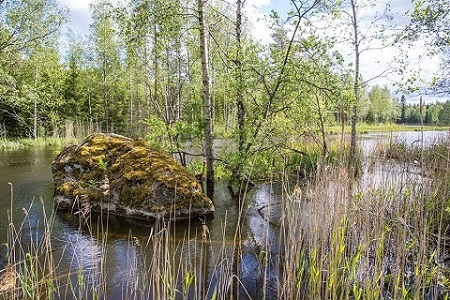 Болото